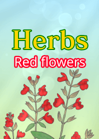 Herbs:Red flowers