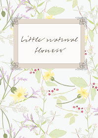 Little natural flowers 18