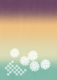 【運気アップ和柄】狢菊〜むじな菊〜