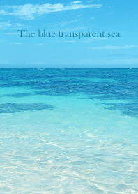 The blue transparent sea-SHELL 15