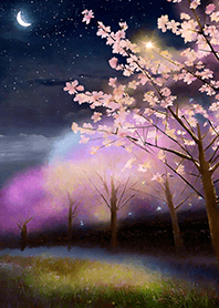 Beautiful night cherry blossoms#362
