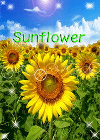 sunflower in the sky!5