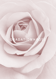 Rose and gradation Ice Dull pink29_1