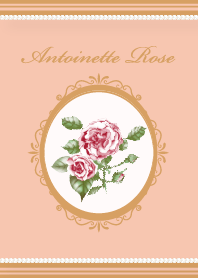 アントワネットピンクローズ プリンセス