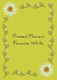 Black Yellow : Feminine pressed flowers