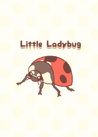Little Ladybug!