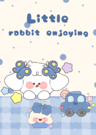 Little rabbit enjoying3