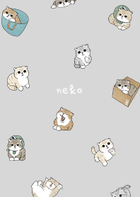 neko combo5 - light grey