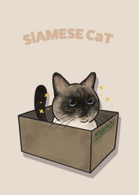 siamesecat1 / almond