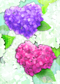 厄を祓い金運に恵まれる ハート紫陽花