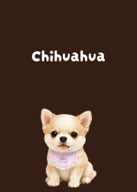 I love Chihuahuas02 brown