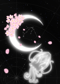新月-水瓶座-