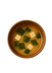 MISO SOUP-FEAST
