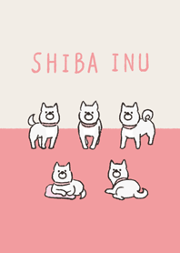 Doodle white shiba inu