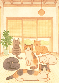 療癒生活-房間的小貓咪2J蛋黃色凱瑞精選集