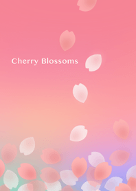 Floral petal of Cherry Blossoms