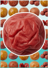 Ação ao vivo de Umeboshi Muted Blue