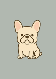 My Adorable French Bulldog16