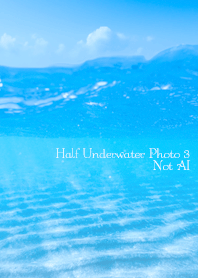 Half Underwater Photo3 Not AI
