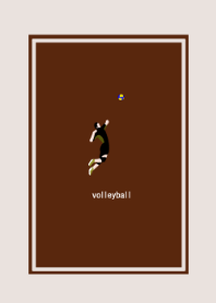 Turns into chocolate! volleyball
