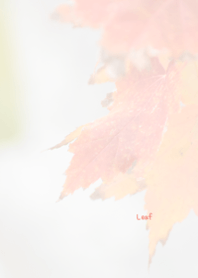 Leaf Theme 10