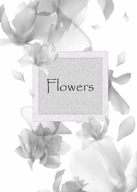 Adult clear flower4.