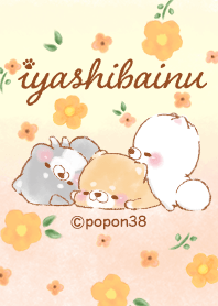 Iyashibainu Autumn Line Theme Line Store