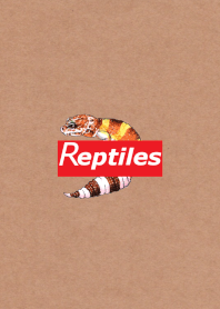 Reptiles Theme 'Leopard Gecko'