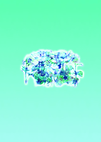 Light blue flower garden