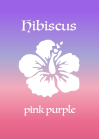Hibiscus pink purple