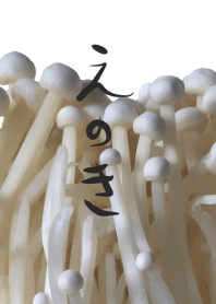 Mushroom "Flammulina velutipes"