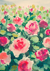 Beautiful rose flower(R4915)