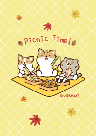 柴語錄03-秋日野餐