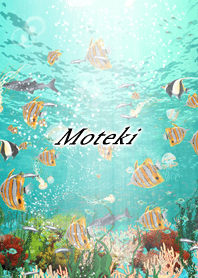 Moteki Coral & tropical fish2