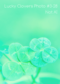 Lucky Clovers Photo#3-28Not AI