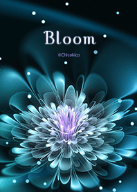 Bloom 04 .