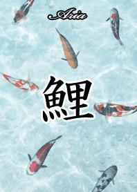 Aria Japanese style carp