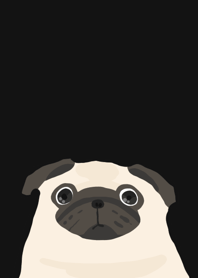 Pug heart