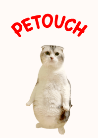PETOUCH @Pet Grand Prix