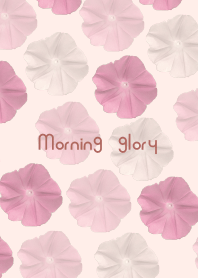 Beautiful morning glory