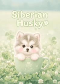 Kawaii Siberian Husky In Clover