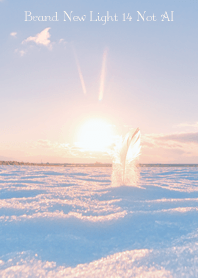 Brand-New Light 14 Not AI