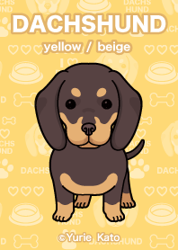 DACHSHUND yellow / beige