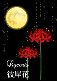 Lycoris 彼岸花２