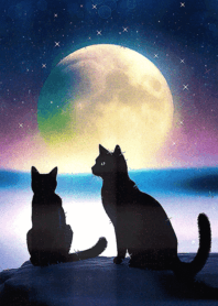 happy moon cat