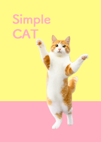 Simple CAT - PINK and Yellow