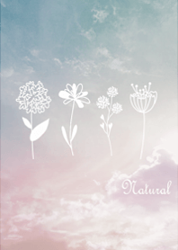 In a peaceful garden11