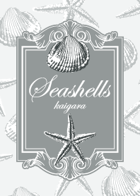 Seashells-貝殻-