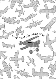 Gray plane fly plane gray (W) JP
