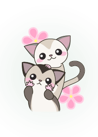 sugar glider theme
